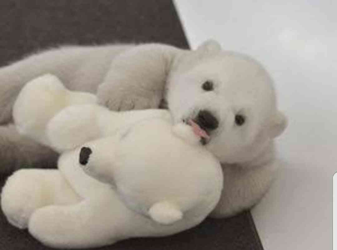 【画像】動物の子供達