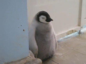 【画像】動物の子供達