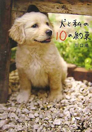犬が主人公の物語を教えて下さい