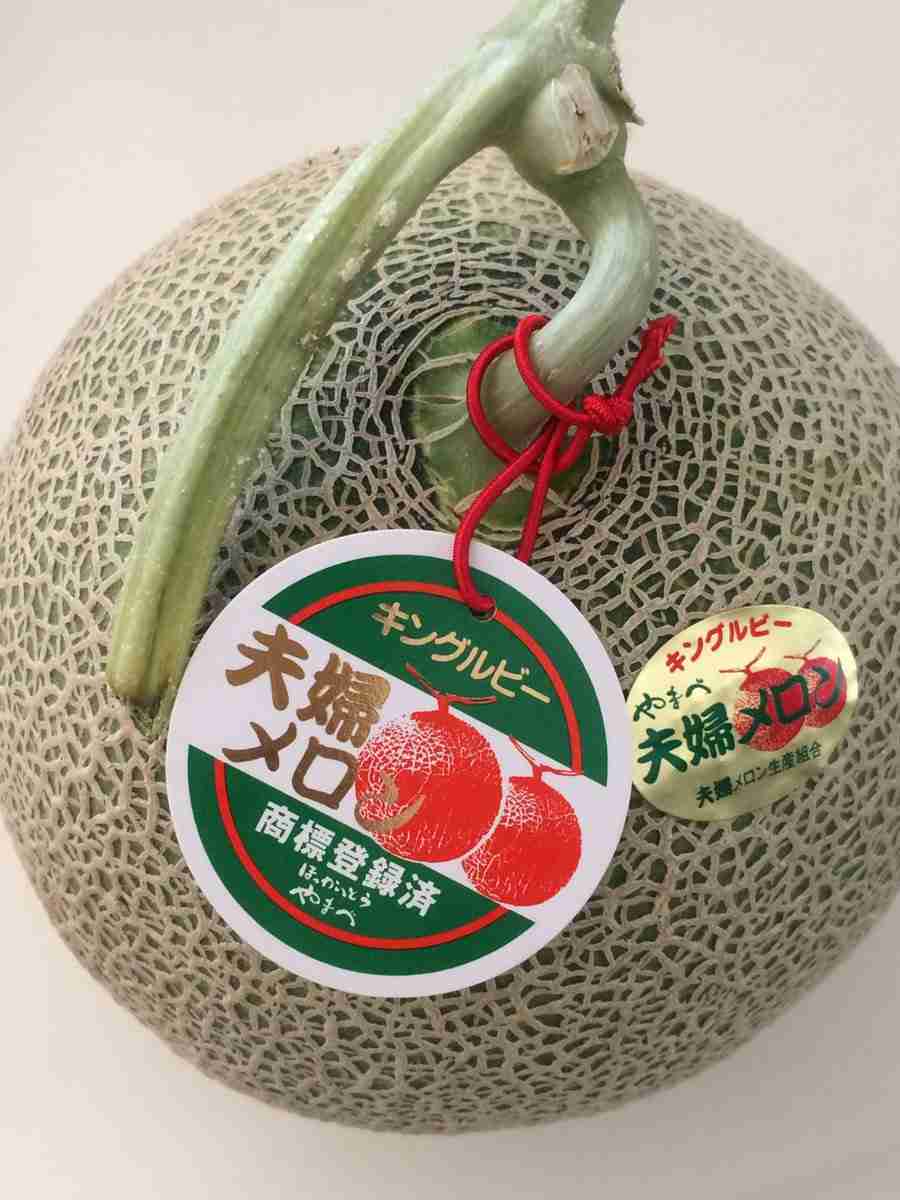 味方をフルーツの名前で呼び合って秘密の組織っぽい気分になろう
