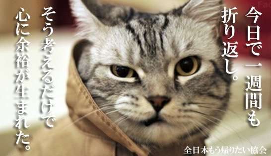 金曜の夜を心待ちにするトピ
