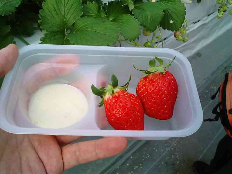 食べ放題が好きな人!