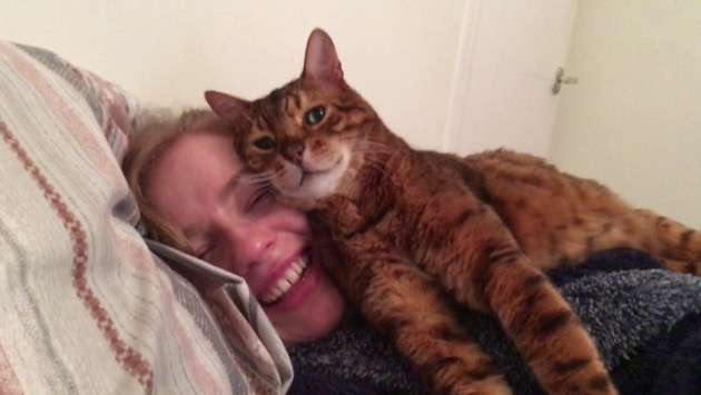 甘えてる猫の画像