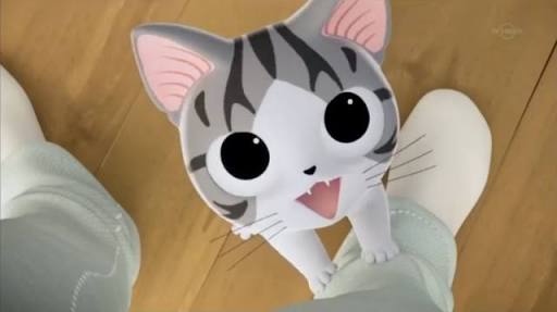 甘えてる猫の画像