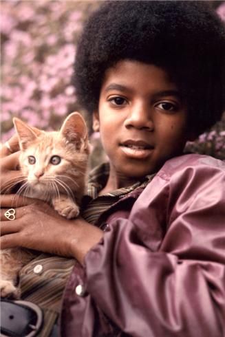 甘えてる猫の画像