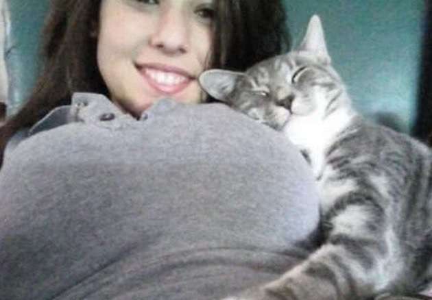 甘えてる猫の画像