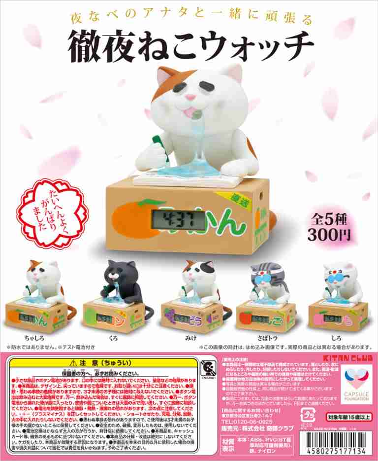 勢いで買って困惑している物