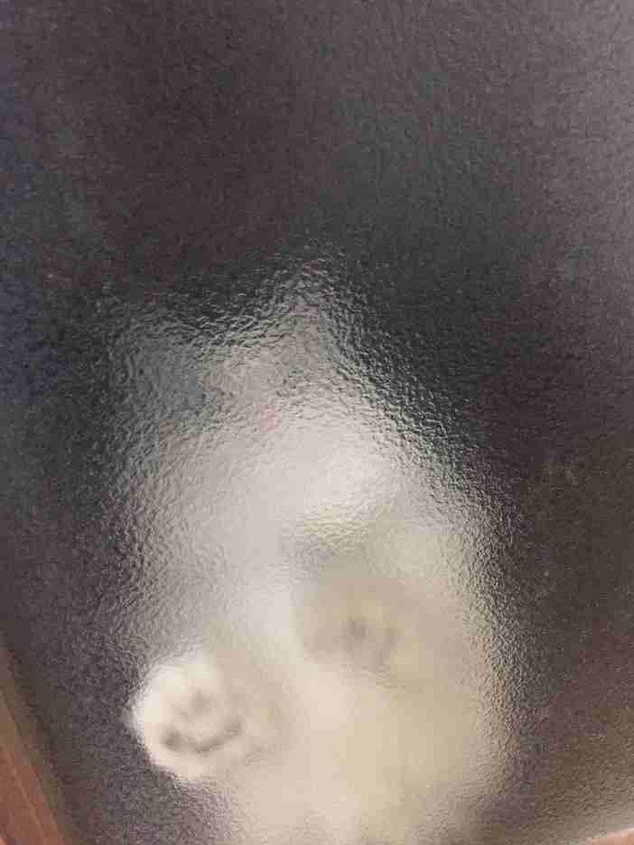【閲覧注意】人生最大の恐怖話・画像