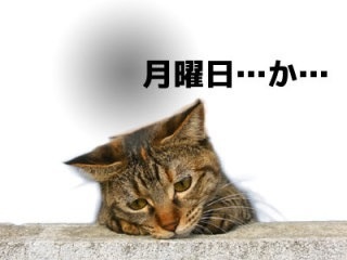 何曜日が好き？嫌い？