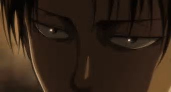 好きなお花の画像を貼るトピ