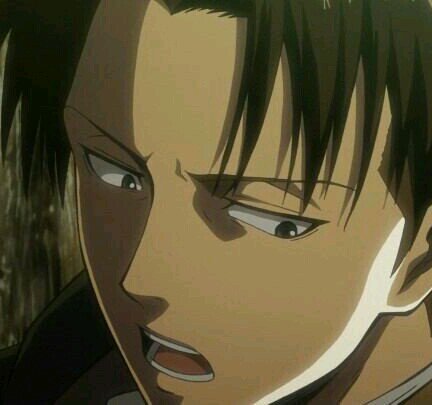 好きなお花の画像を貼るトピ