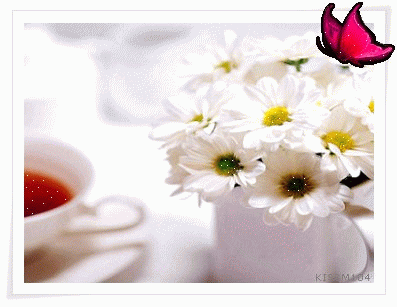 好きなお花の画像を貼るトピ