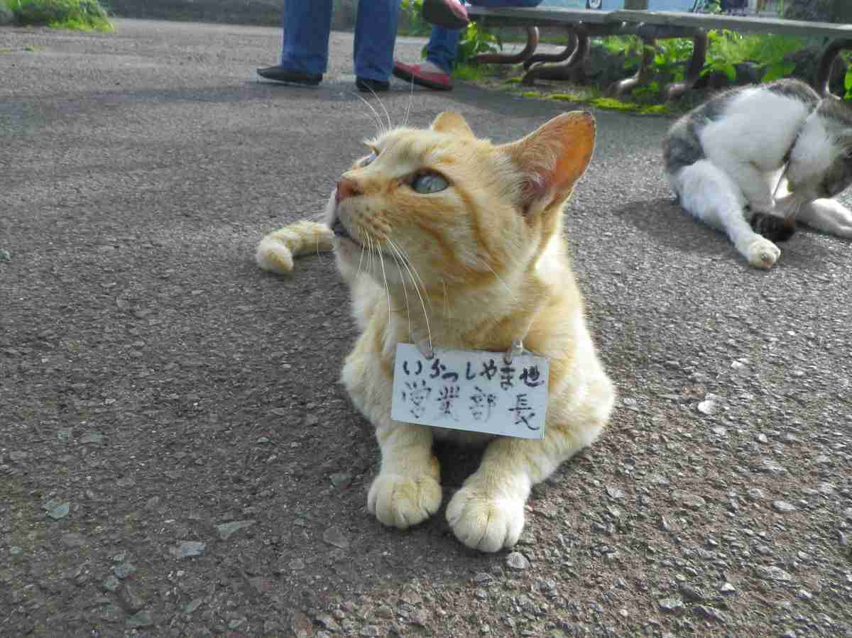 営業されたくない人