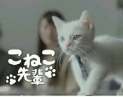 営業されたくない人