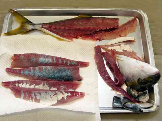 魚捌けますか?