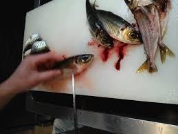 魚捌けますか?