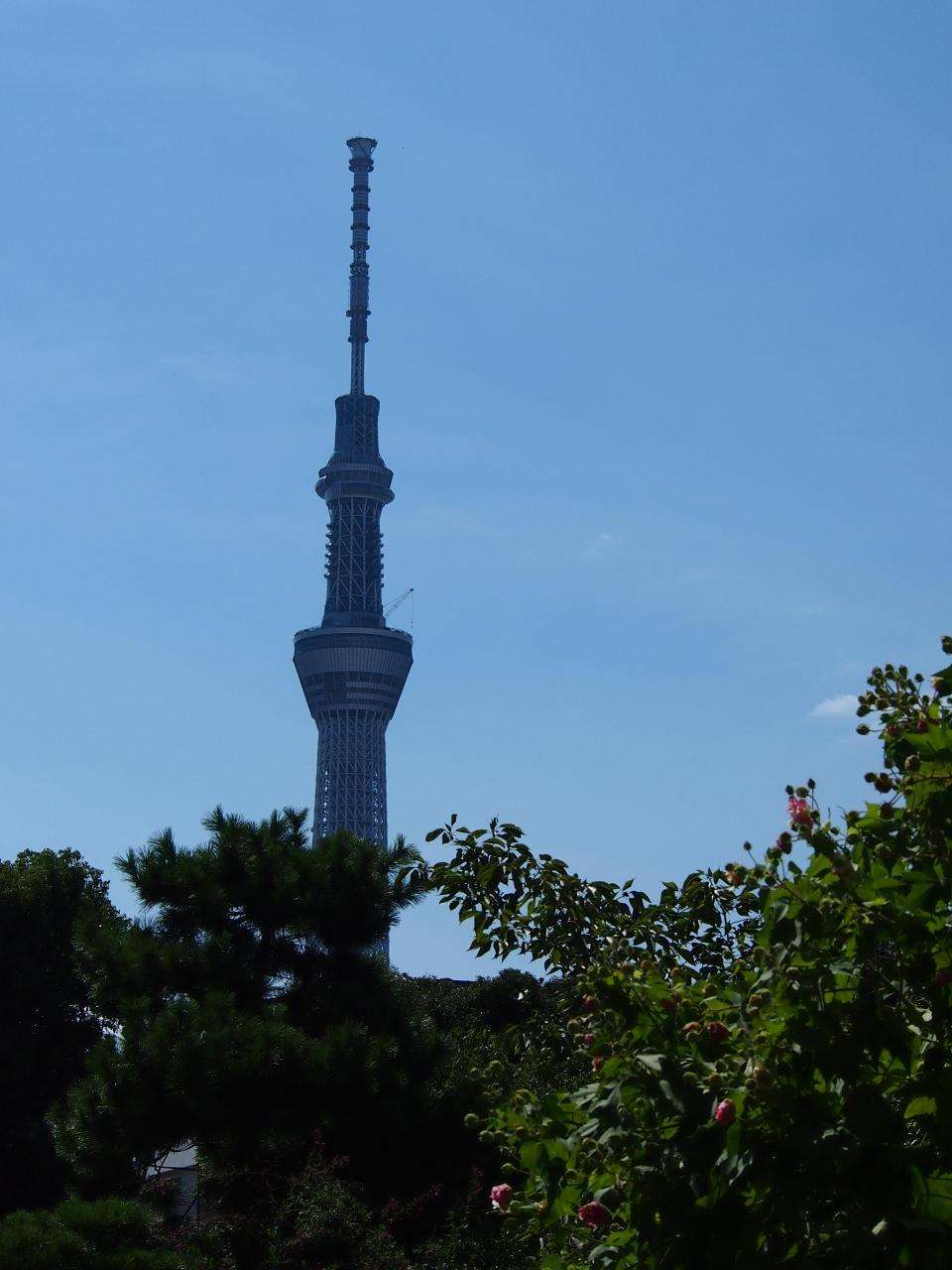 〈苦手な人注意〉巨大建造物を貼るトピ