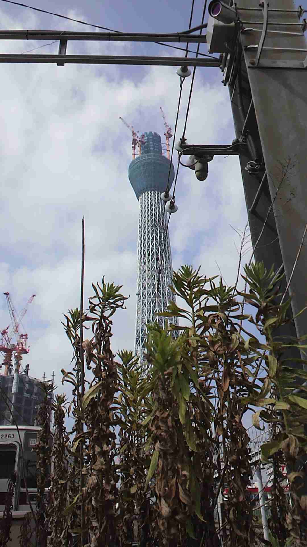 〈苦手な人注意〉巨大建造物を貼るトピ