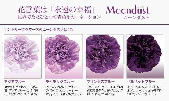 紫色が好きな人の集まるトピ