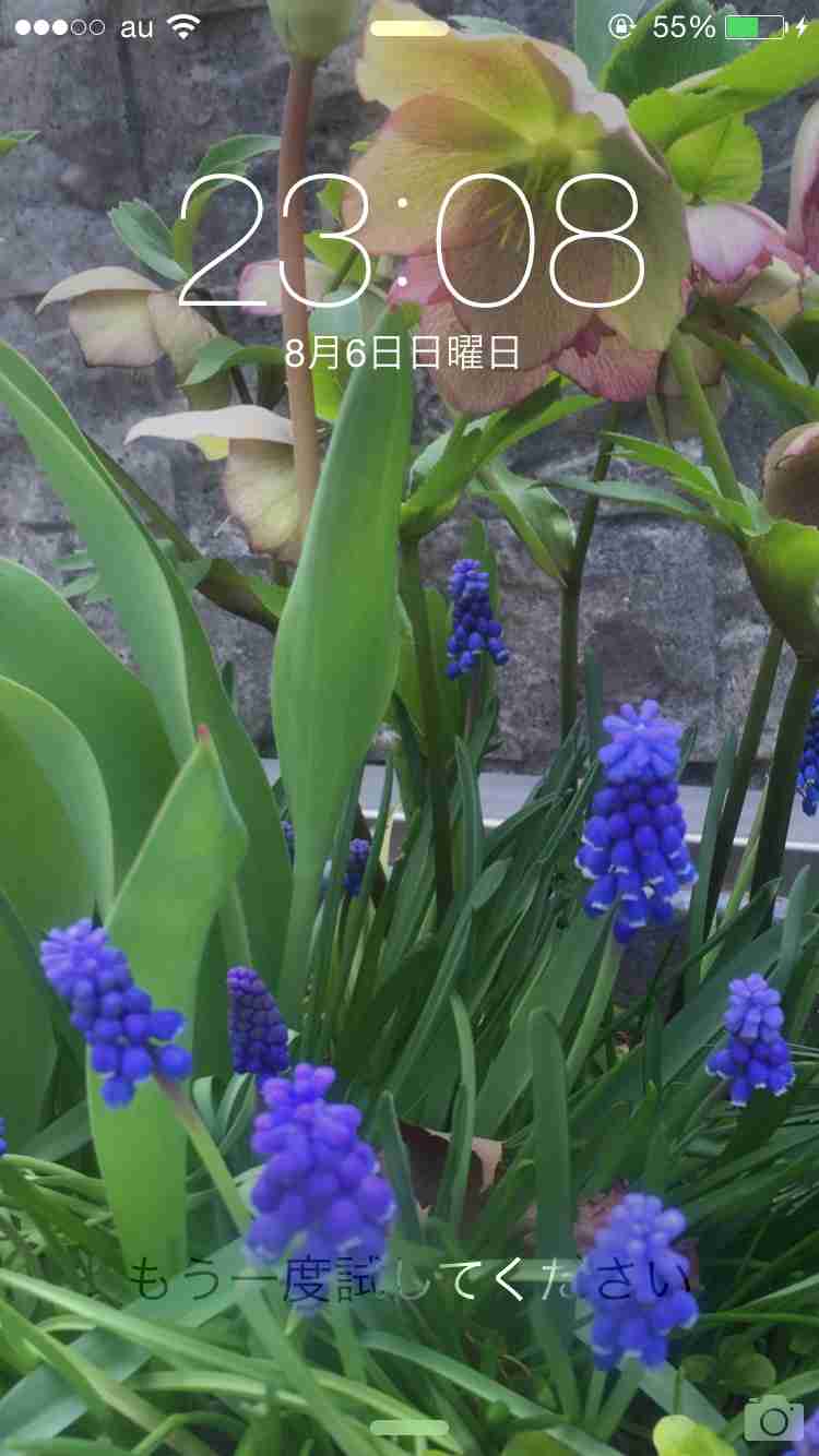 スマホロック画面見せ合うトピ