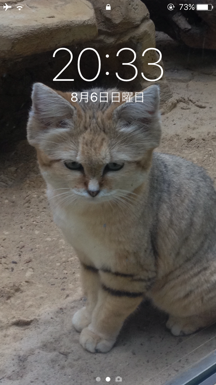 スマホロック画面見せ合うトピ