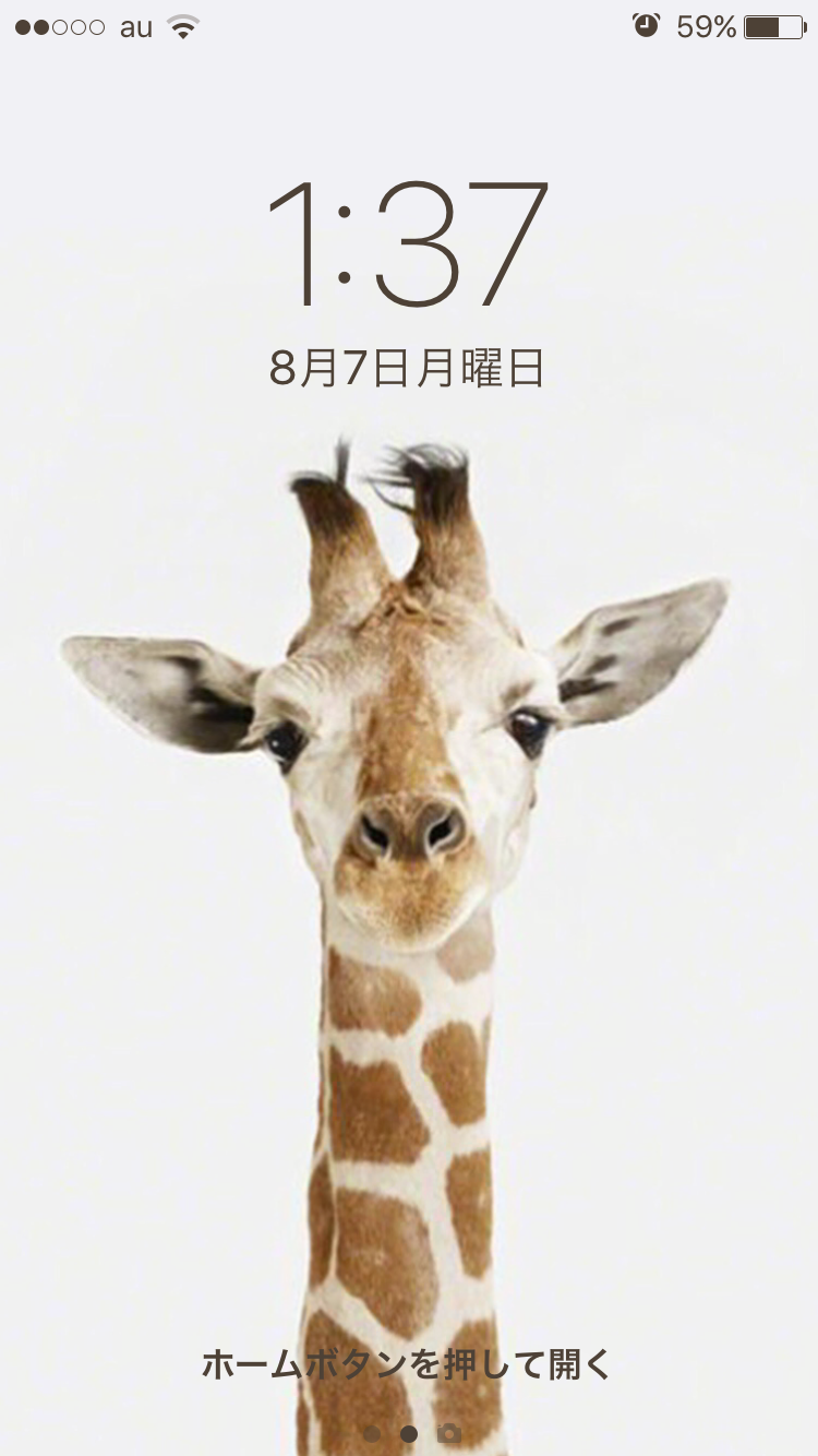 スマホロック画面見せ合うトピ