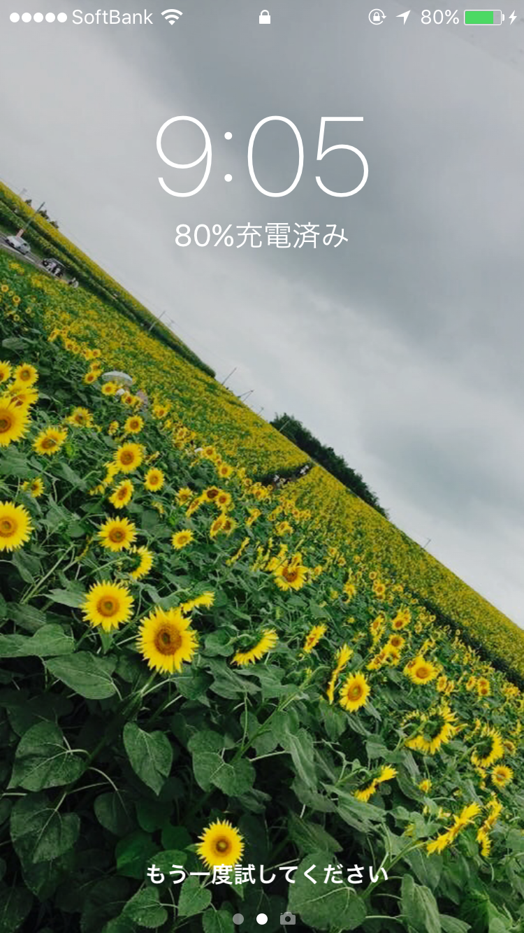 スマホロック画面見せ合うトピ
