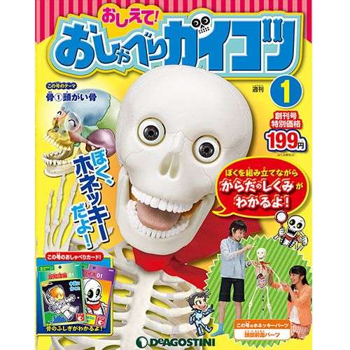 デアゴスティーニなどの分冊百科、買ったことありますか?