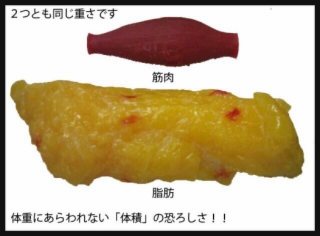 ダイエット続かないデブ集合