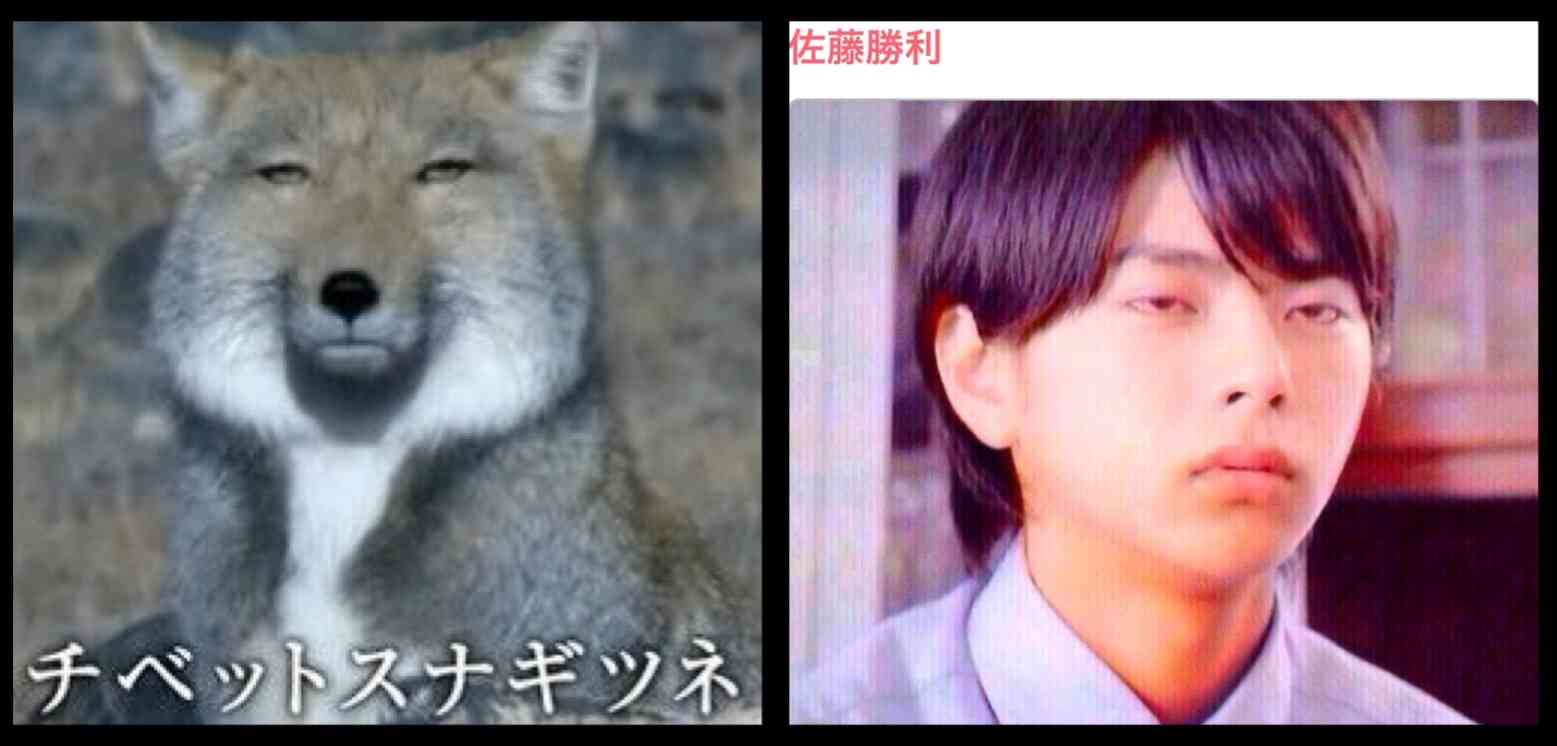 ジャニーズそっくり画像集まれ★