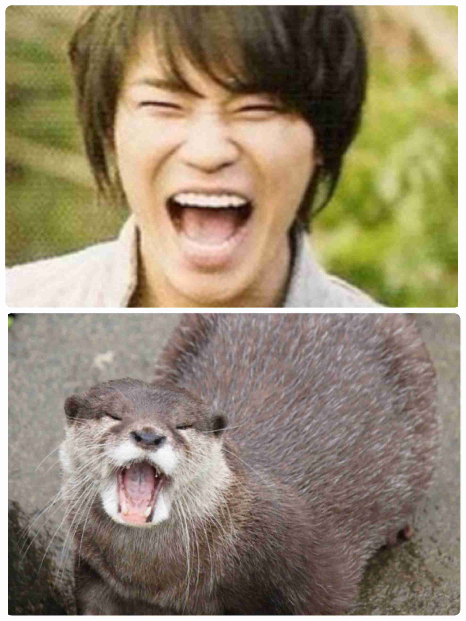 ジャニーズそっくり画像集まれ★