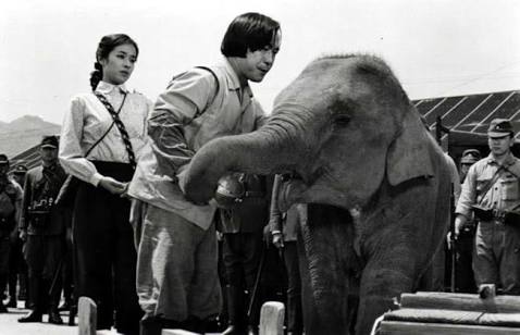 いろんな武田鉄矢が見たい