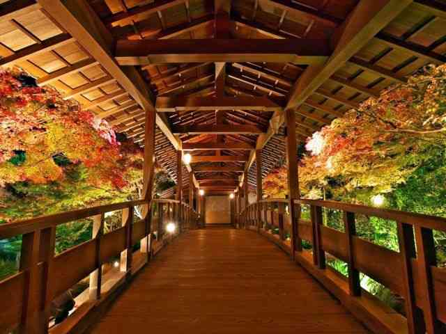 日本庭園に癒されるトピ