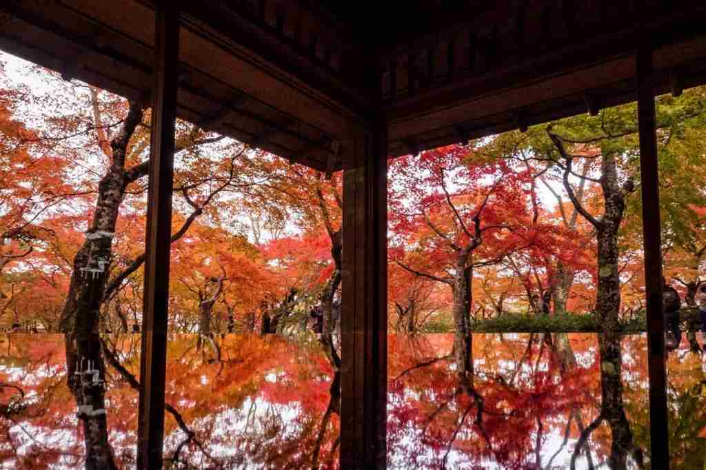 日本庭園に癒されるトピ