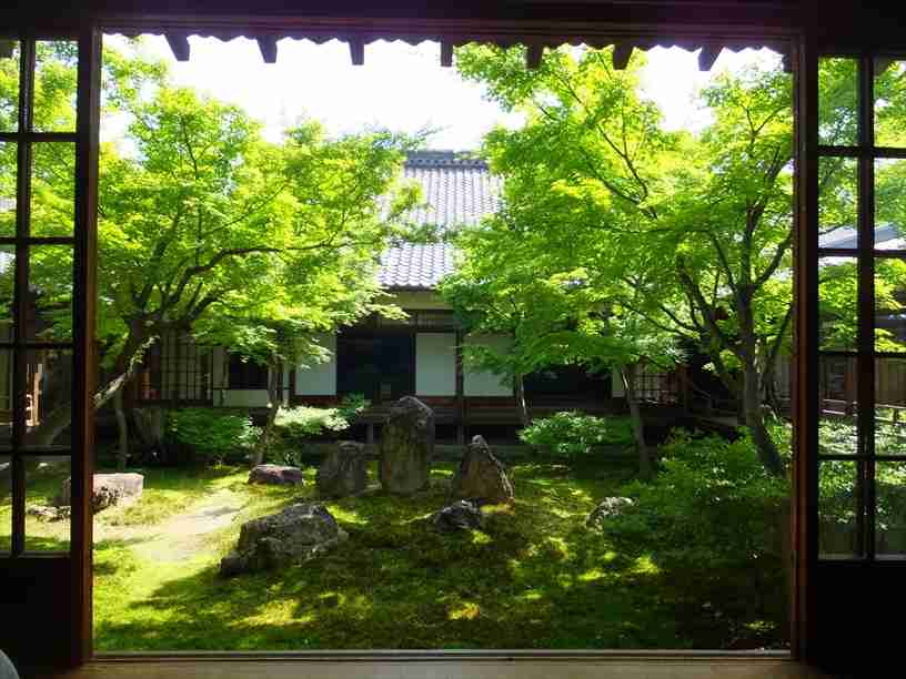 日本庭園に癒されるトピ