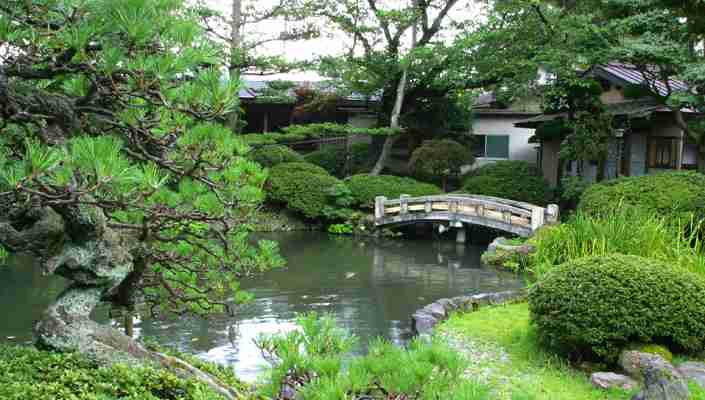 日本庭園に癒されるトピ