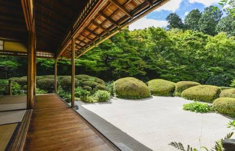 日本庭園に癒されるトピ