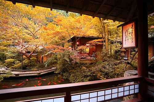 日本庭園に癒されるトピ