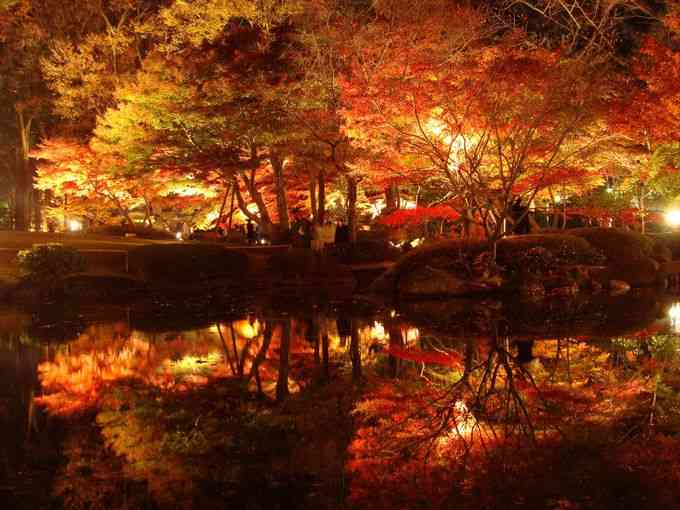 日本庭園に癒されるトピ