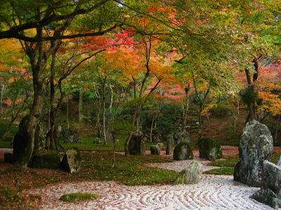 日本庭園に癒されるトピ