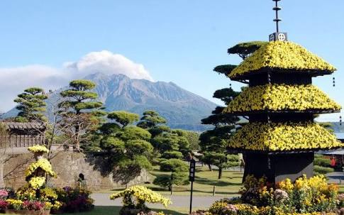 日本庭園に癒されるトピ