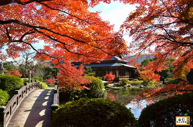 日本庭園に癒されるトピ