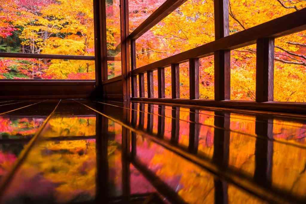 日本庭園に癒されるトピ