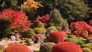 日本庭園に癒されるトピ