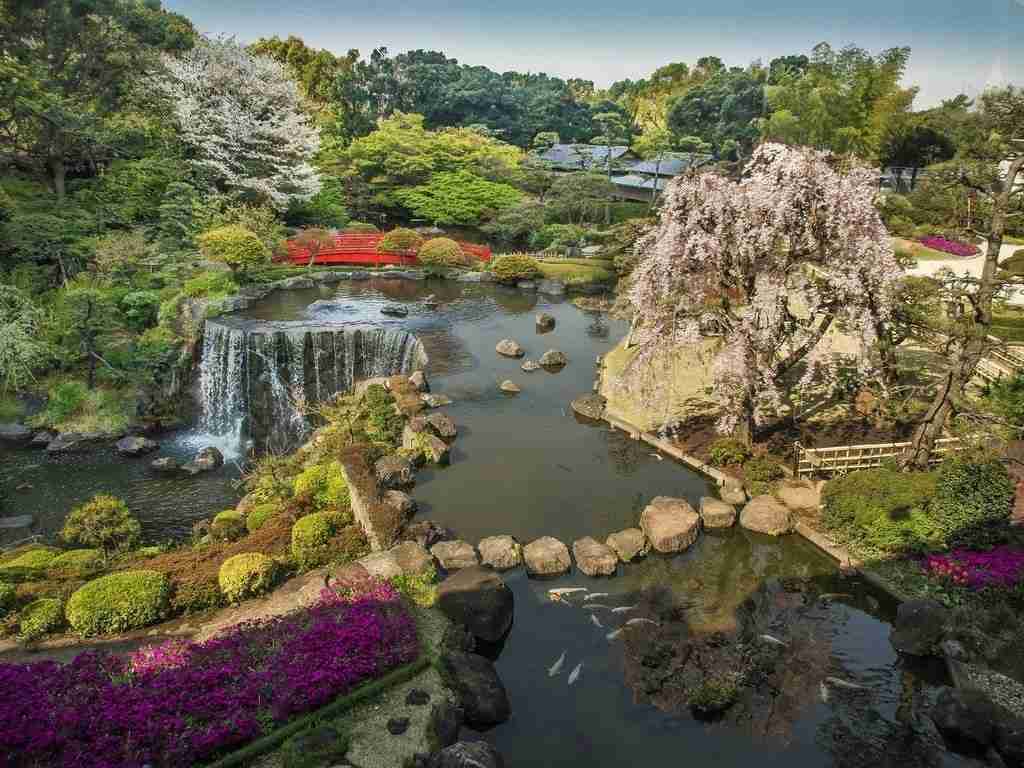 日本庭園に癒されるトピ