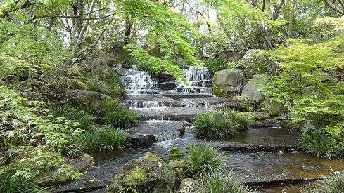 日本庭園に癒されるトピ