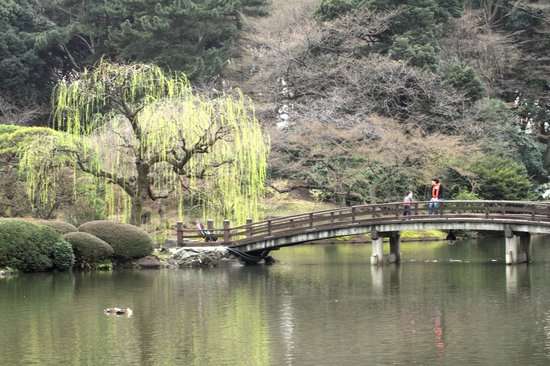 日本庭園に癒されるトピ