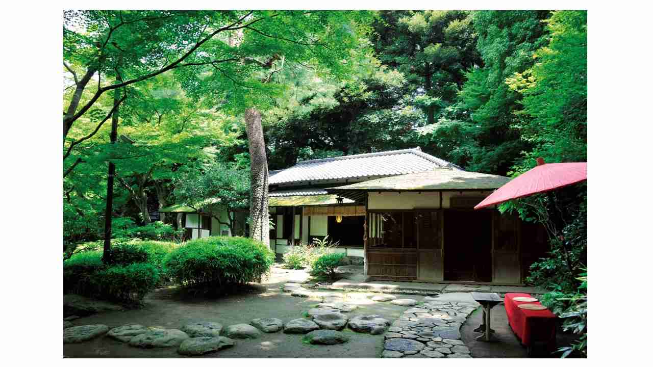 日本庭園に癒されるトピ