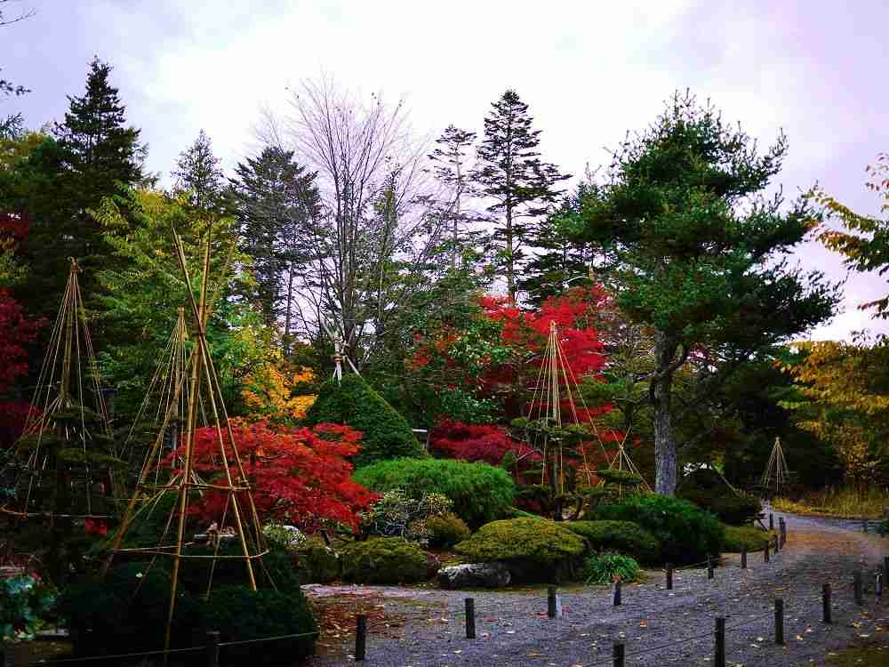 日本庭園に癒されるトピ