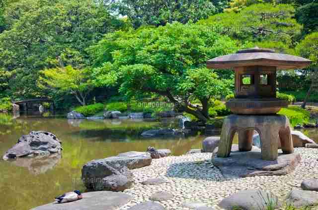 日本庭園に癒されるトピ